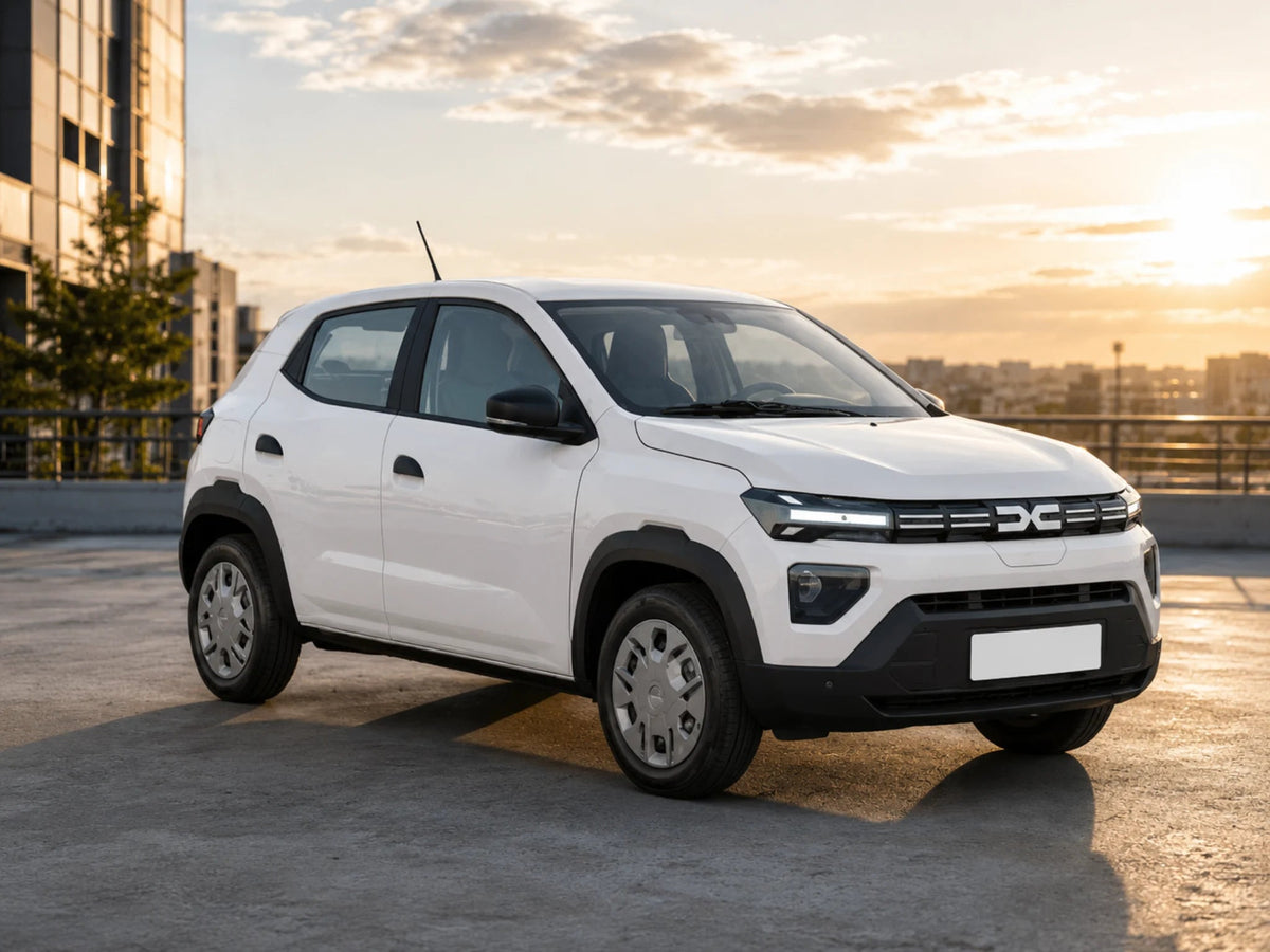 Dacia Spring Cargo - My Store
